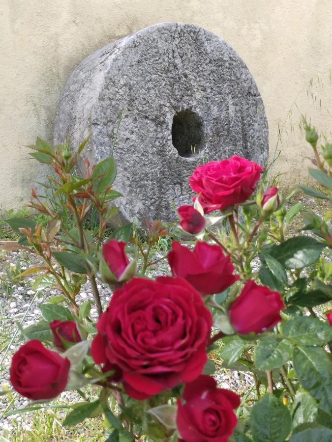 Il Giardino Di Julia B&B トルトラ エクステリア 写真