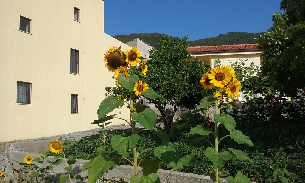 Il Giardino Di Julia B&B トルトラ エクステリア 写真