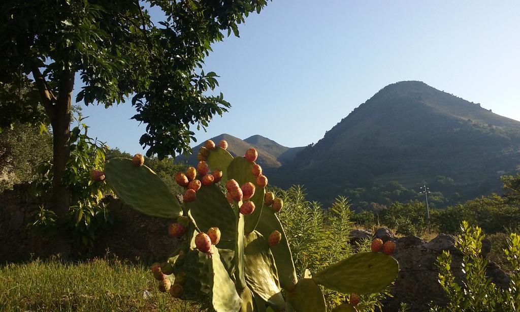 Il Giardino Di Julia B&B トルトラ エクステリア 写真