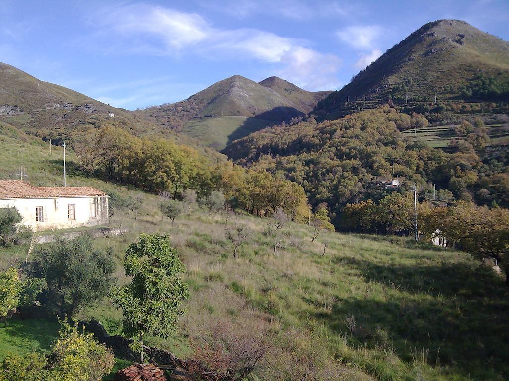Il Giardino Di Julia B&B トルトラ エクステリア 写真