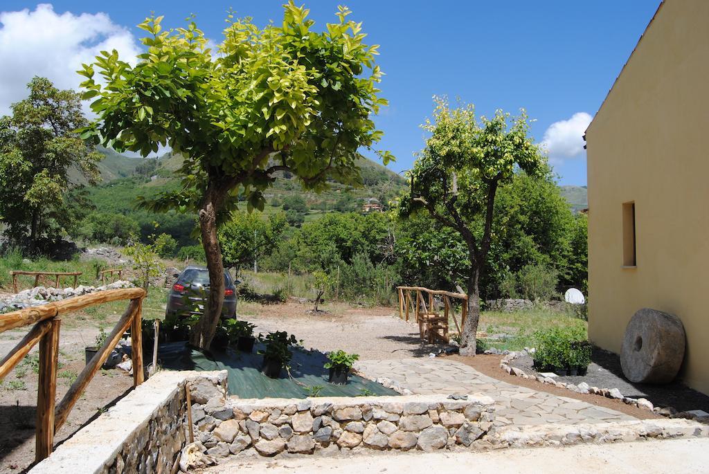 Il Giardino Di Julia B&B トルトラ エクステリア 写真