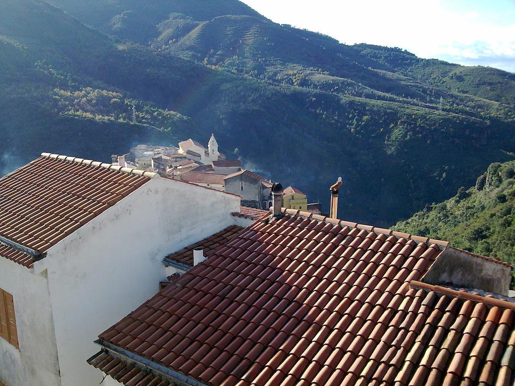 Il Giardino Di Julia B&B トルトラ エクステリア 写真