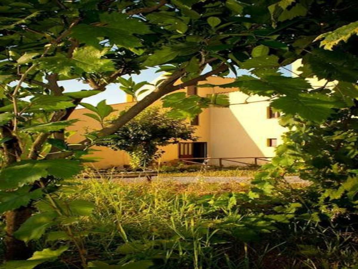 Il Giardino Di Julia B&B トルトラ エクステリア 写真