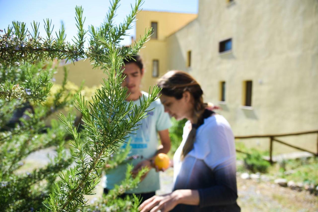 Il Giardino Di Julia B&B トルトラ エクステリア 写真