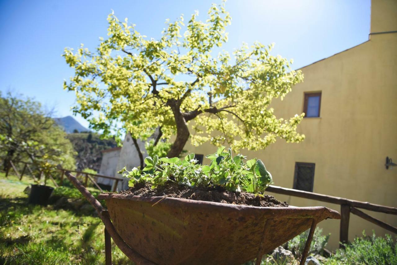Il Giardino Di Julia B&B トルトラ エクステリア 写真